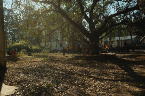 India, frame 7