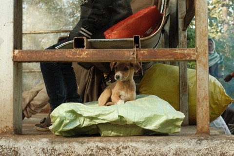 India, frame 7