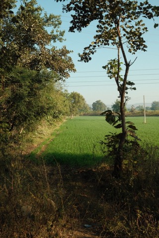 India, frame 4