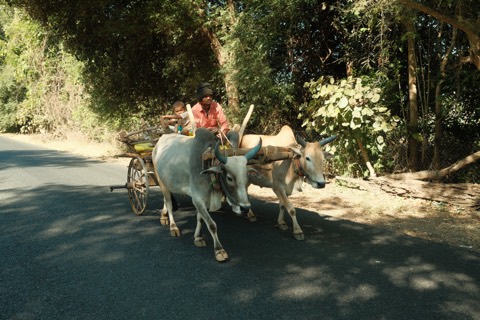 India, frame 8