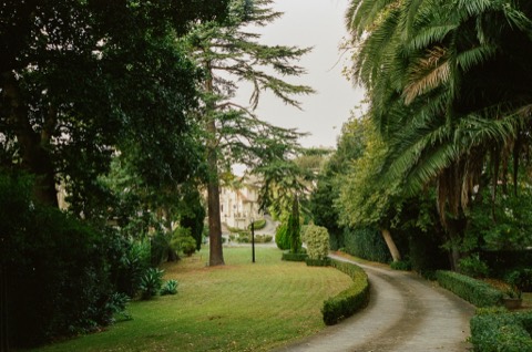 Life, frame 12